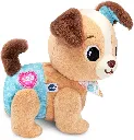 5793003.webp
