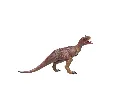 403174_0.webp