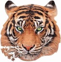 Tiger Puzzle 375Pcs - Educa 18475