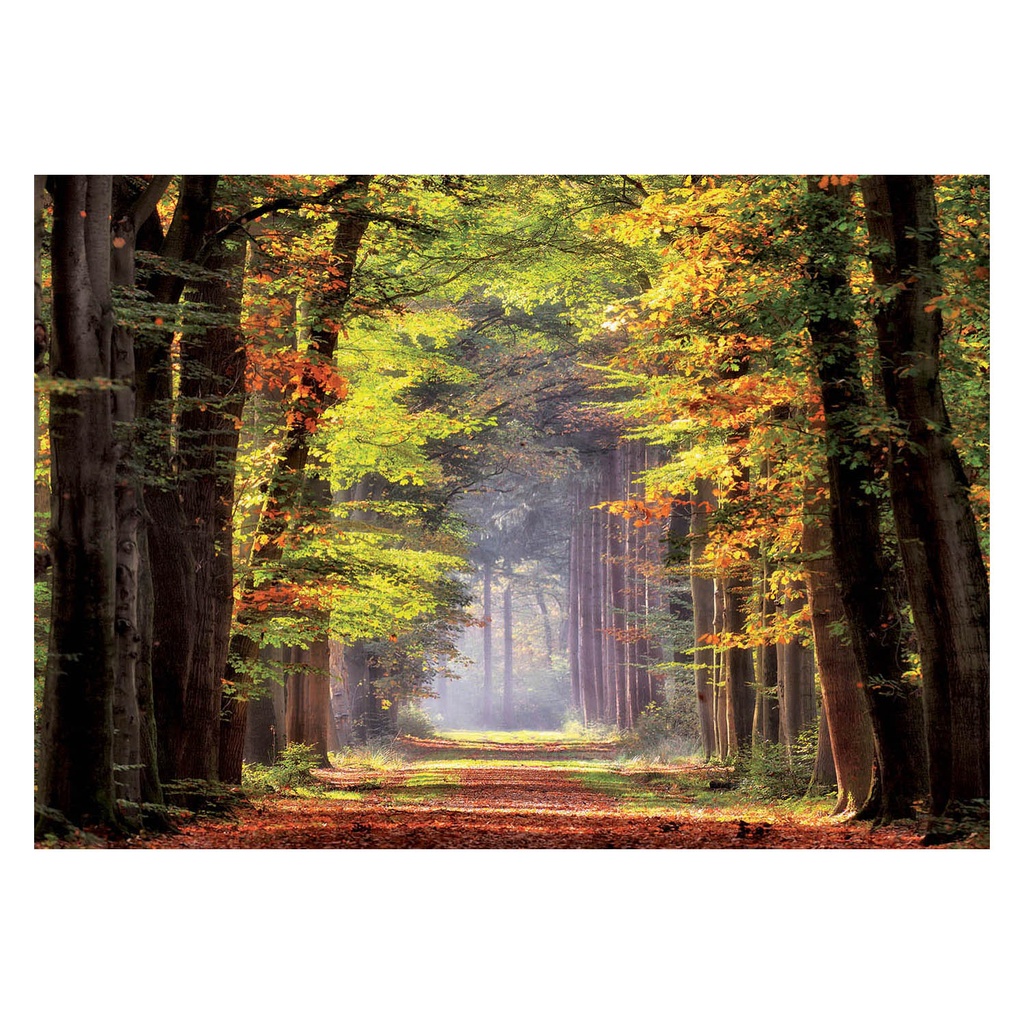[19021] Fall Walkway Puzzle 1000Pcs - Educa 19021