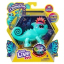 Chameleon Sunny - Little Live Pets 26364