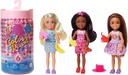 C/R Chelsea Picnic -Barbie HKT81