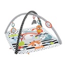 FP 3-In-1 Glow & Grow  Gym-HBP41