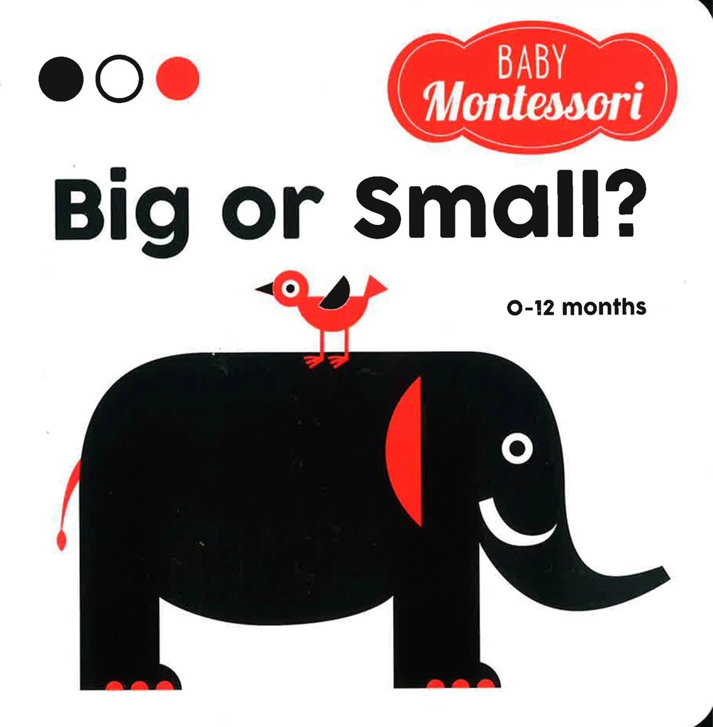 MONTESSORI  BIG OR SMALL EN-81055