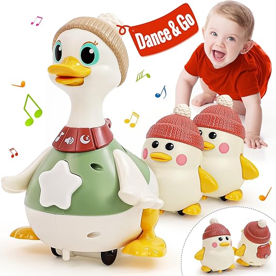 عائلة البط المتأرجحة - HE9987