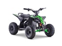 ATV BIKE 48V 1200W-EA7-015