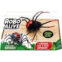 Robo alive std Spider gitd window box -7151tq2