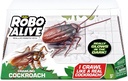 Robo alive std Cockroach gitd window box-7152tq1