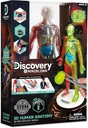  HUMAN ANATOMY KIT-1423015831