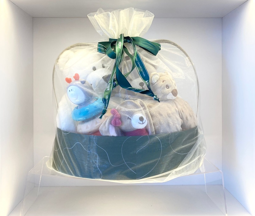 Baby Toy Gift Box 5pcs-Kaichi Z999-354