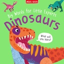 Miles Kelly - Big words for little experts Dinosaurs-10431