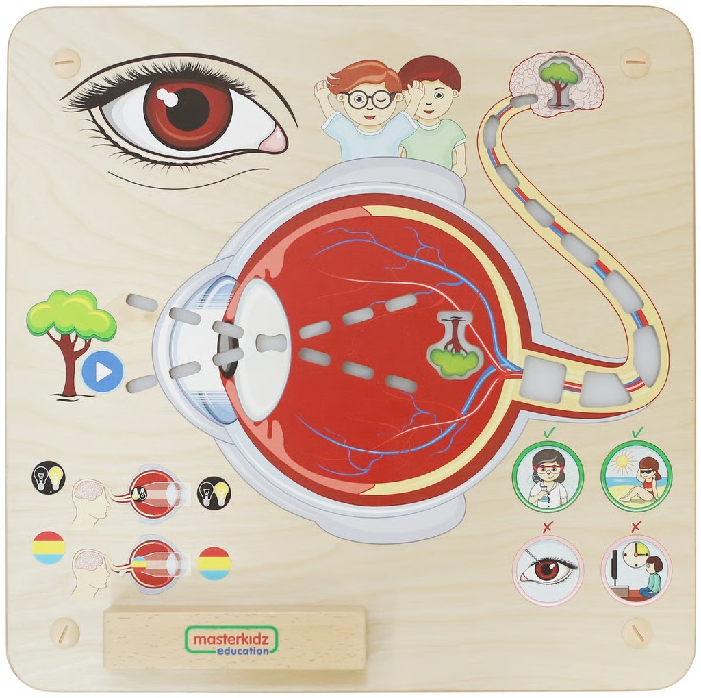 [ME15808] Wall Elements Sense of Sight-MKS ME15808