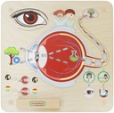 Wall Elements Sense of Sight-MKS ME15808