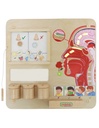 Wall Elements Sense of Smell-MKS ME15822