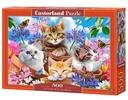 Kittens with Flowers Puzzle 500Pcs-Castor B53513-6
