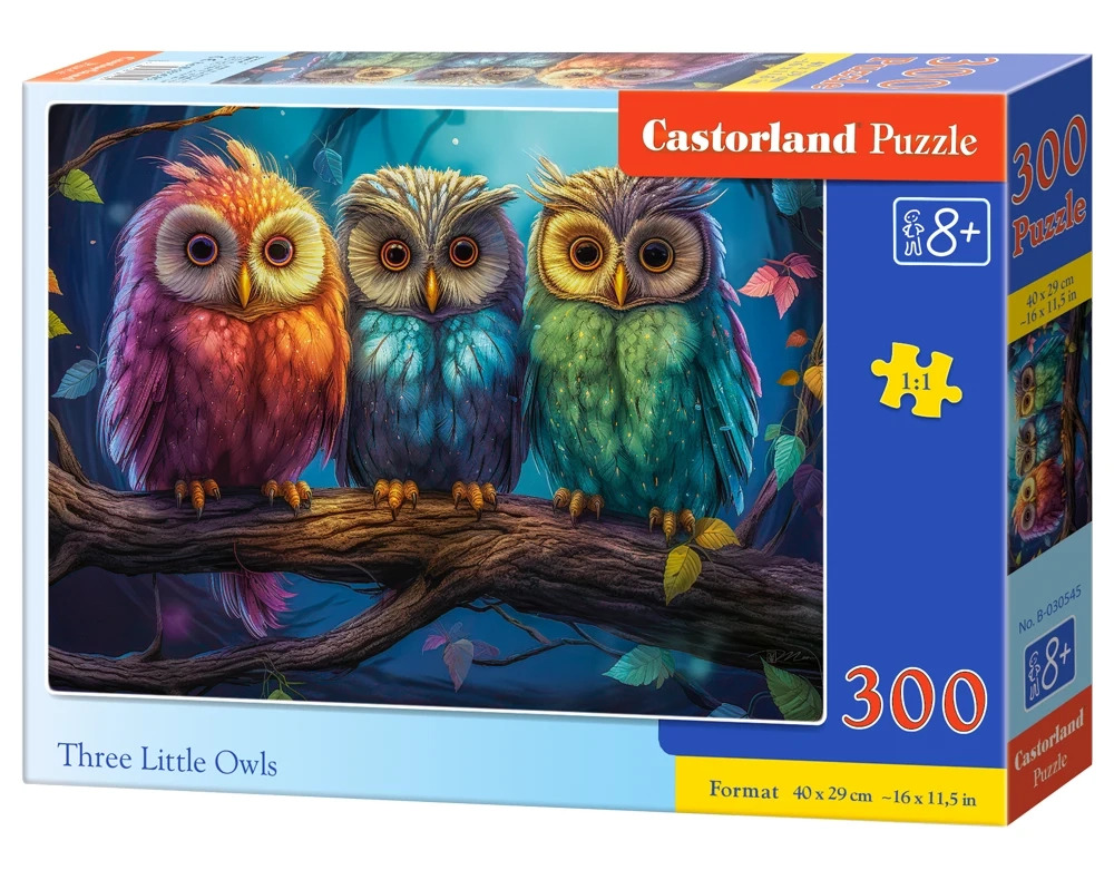 Three Little Owls Puzzle  300Pcs-Castor B030545-6