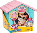 LLP MY PETS HOME S3 MINI P/SETKITTY-26678