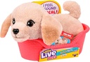 LLP MRR S2 PUPPY MINIS2 PUPPY MINI-BUDDY-26650