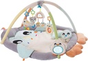 Playgro Snuggle Me Penguin Gym -PG0187681