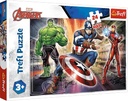 24 Maxi In the world of Avengers -14321