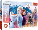 24 Maxi Magical journey Disney Frozen 2 -14298