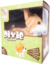 Dixie Flipping Dog-ST-PAP24
