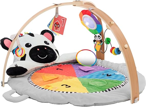 [74451166363] Baby Einstein Zen's Activity Milestones Plush Gym-16636