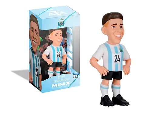 ENZO FERNANDEZ-22625