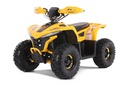 XL Electric ATV Bike 48V & 750W-750D