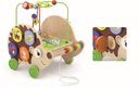 4-in-1 Pull-along Activity Hedgehog - Viga 50012