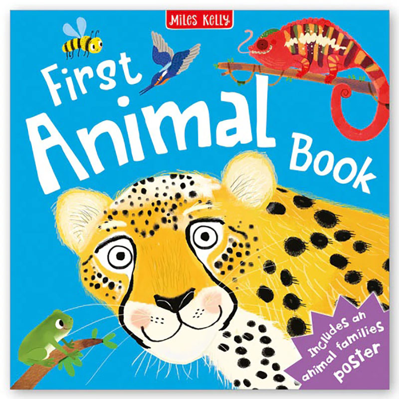 First Animal Book - Miles Kelly 90709 | PlaynLearn