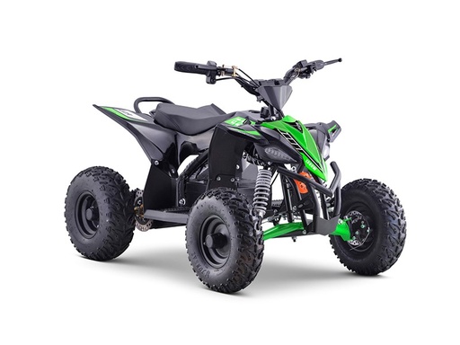 [EA7-015] ATV BIKE 48V 1200W-EA7-015