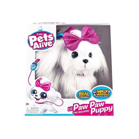 [193052037947] Walking puppy -9531