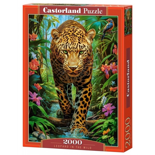 [5904438200955] Leopard in the Wild Puzzle 2000Pcs-Castor 200955-9