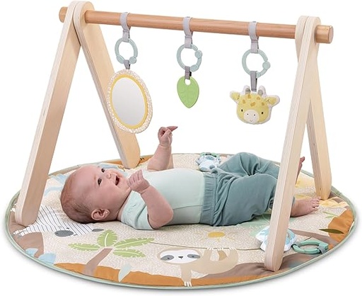 [74451174481] Ingenuity Wonder & Wood Wooden Toy Arch -17448